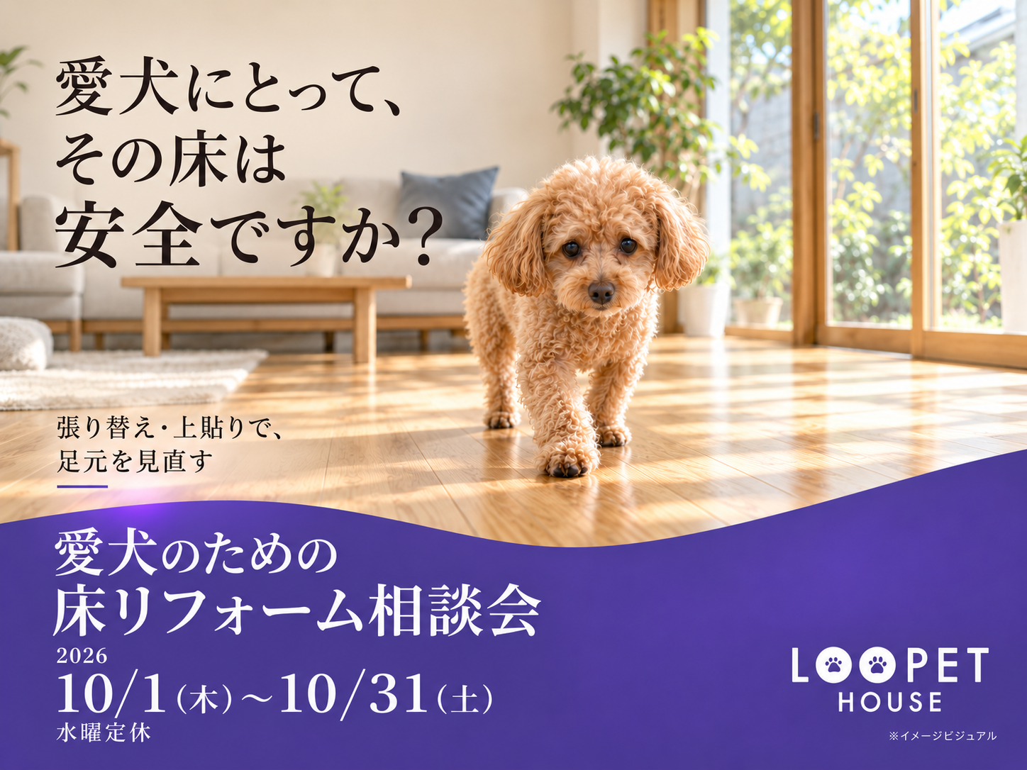 愛犬のための床リフォーム相談会